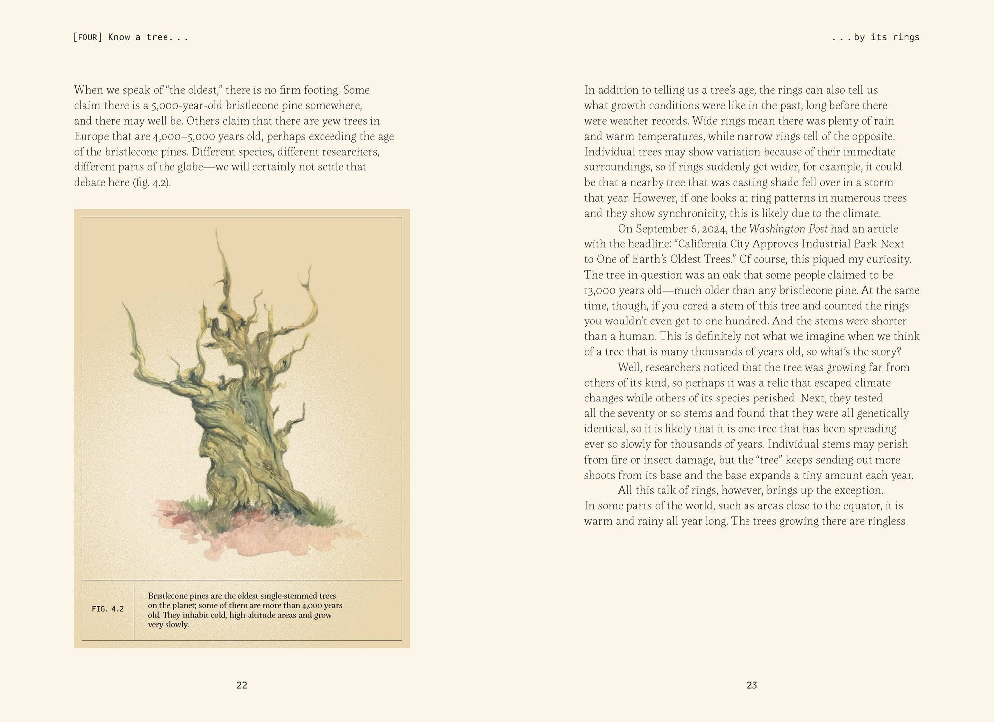 Book | Forty Ways to Know a Tree