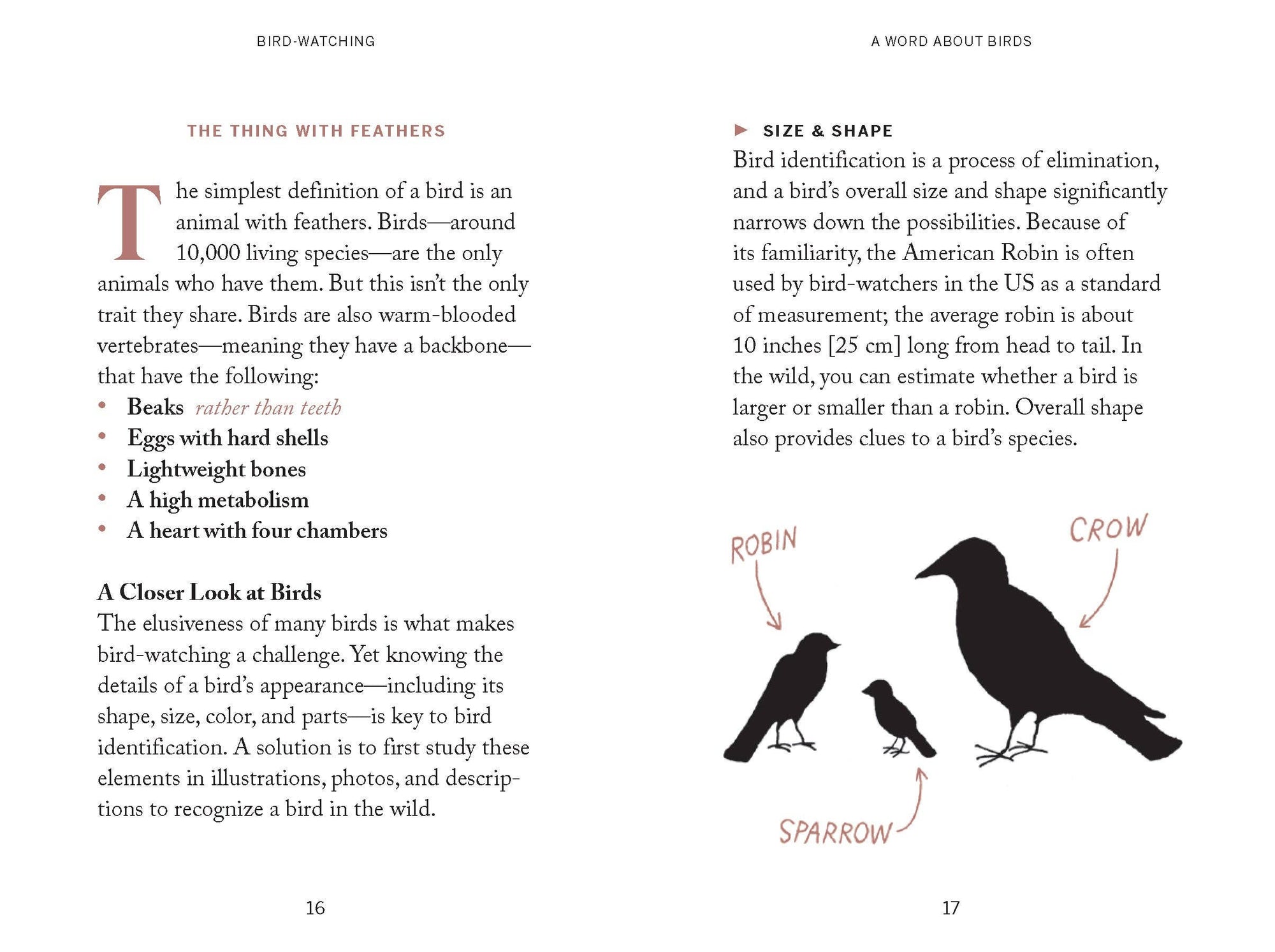 Book | Pocket Nature: Bird-Watching