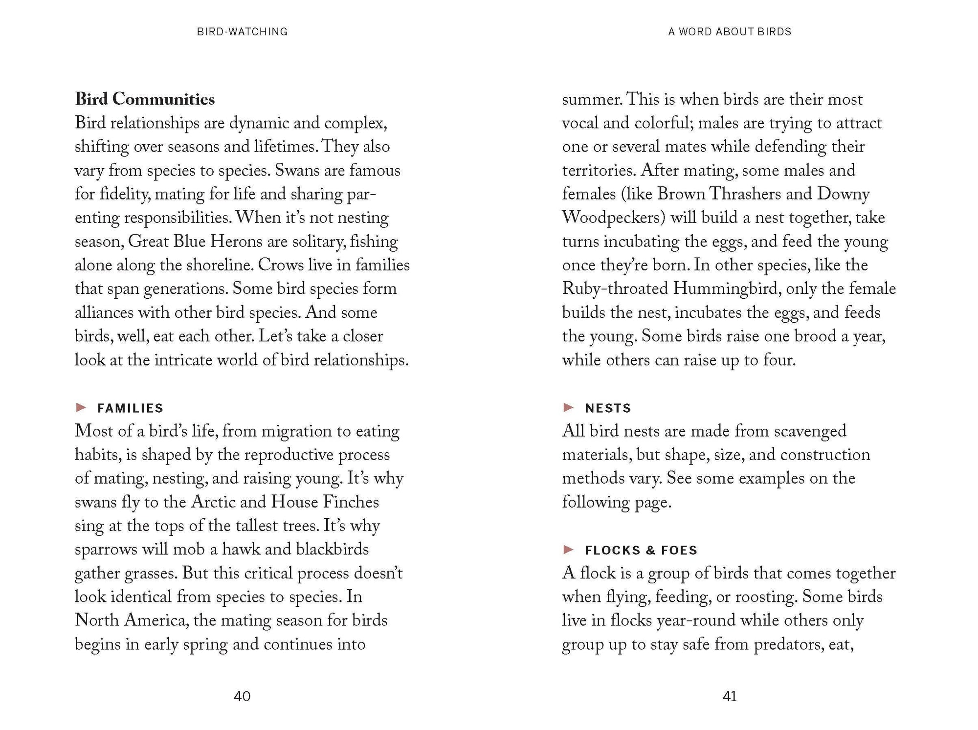 Book | Pocket Nature: Bird-Watching