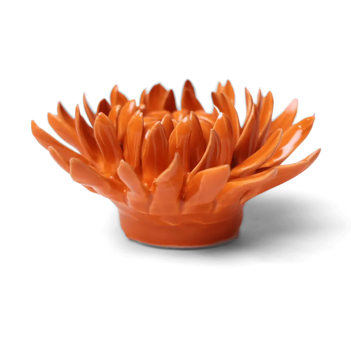 Bring everlasting blooms into your space with ceramic flowers—beautiful, handmade pieces that add a touch of nature-inspired charm without the upkeep. Each flower comes packaged in a lovely gift box and features a keyhole back, so you can display it on a wall or style it on a tabletop. Perfect for creating a blooming statement that never fades.