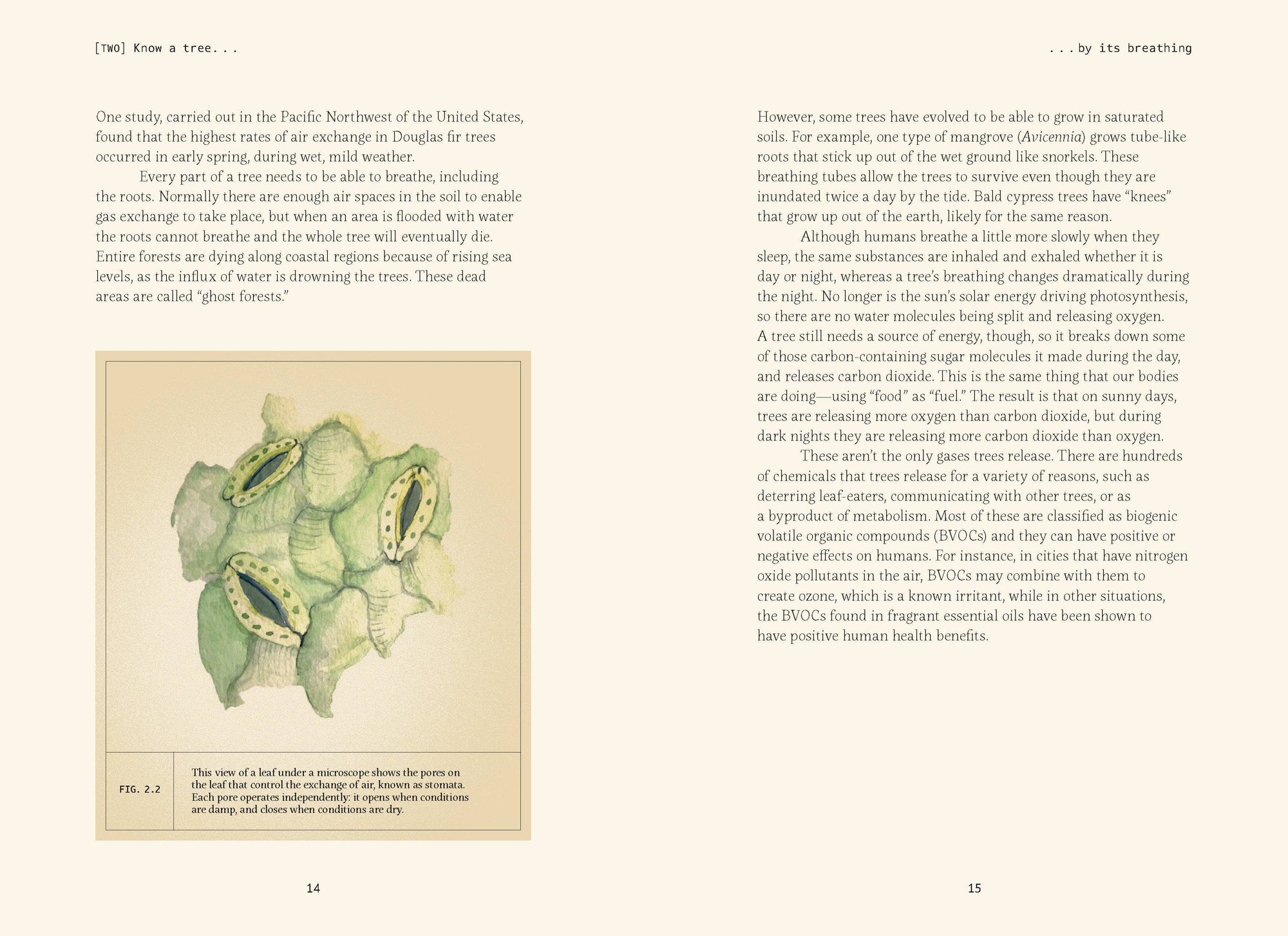 Book | Forty Ways to Know a Tree