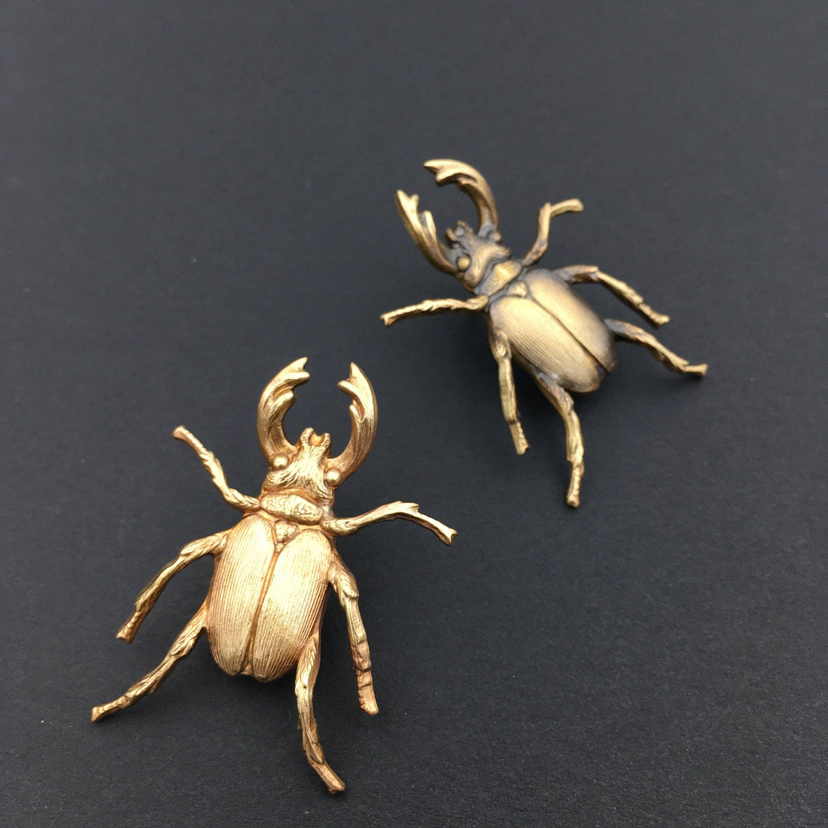 Insect Pin | Brass Stag Beetle