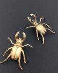 Insect Pin | Brass Stag Beetle