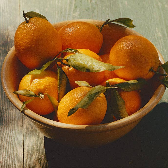 Marmalade | Ruby Valencia &amp; Apricot