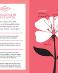 Book | Pocket Nature: Flower Finding