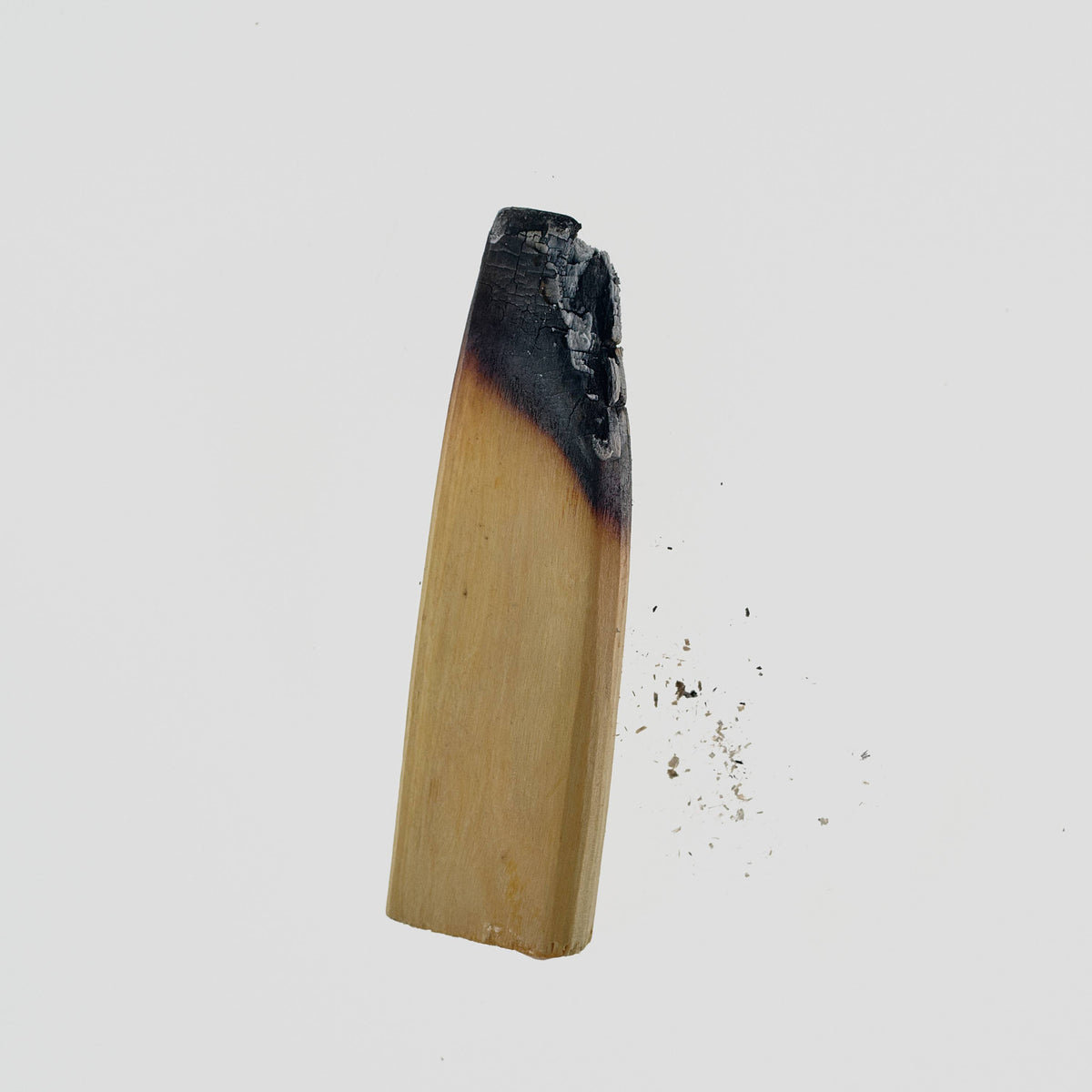 Burnt stick of palo santo wood with a little ash on a pale gray background