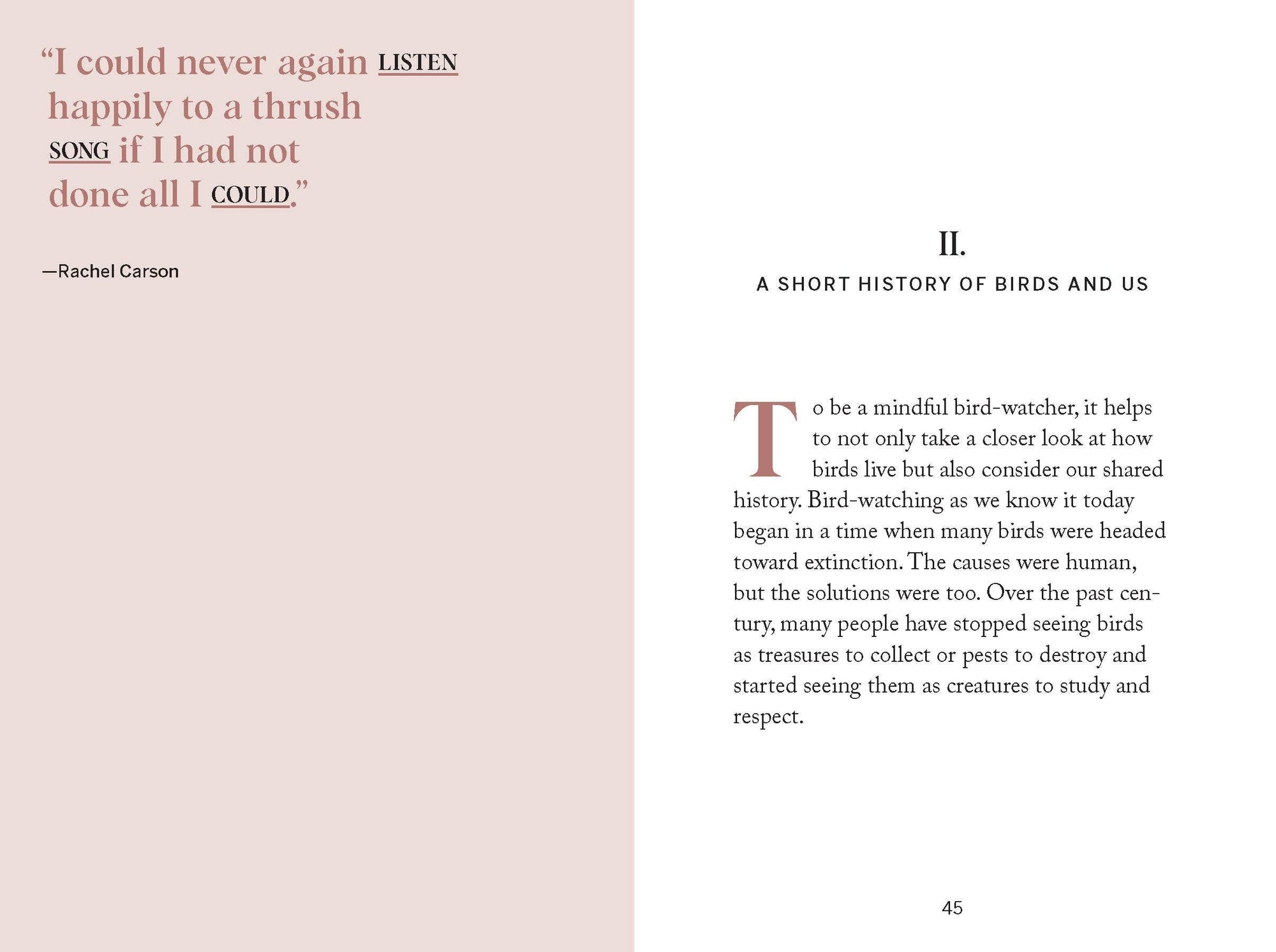 Book | Pocket Nature: Bird-Watching