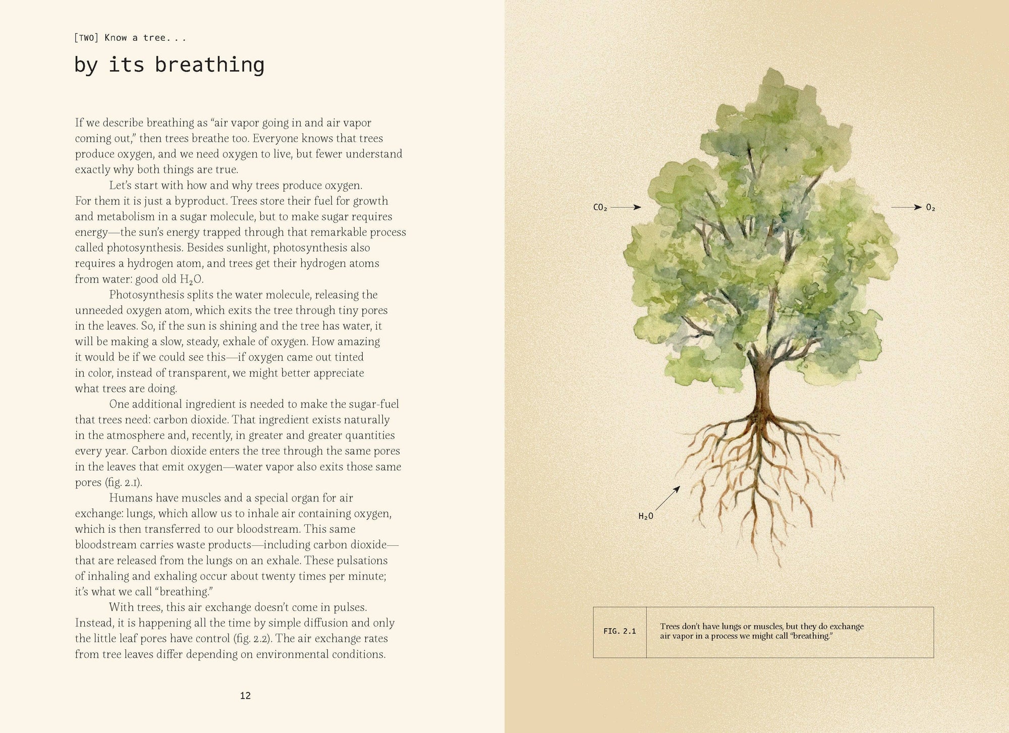 Book | Forty Ways to Know a Tree
