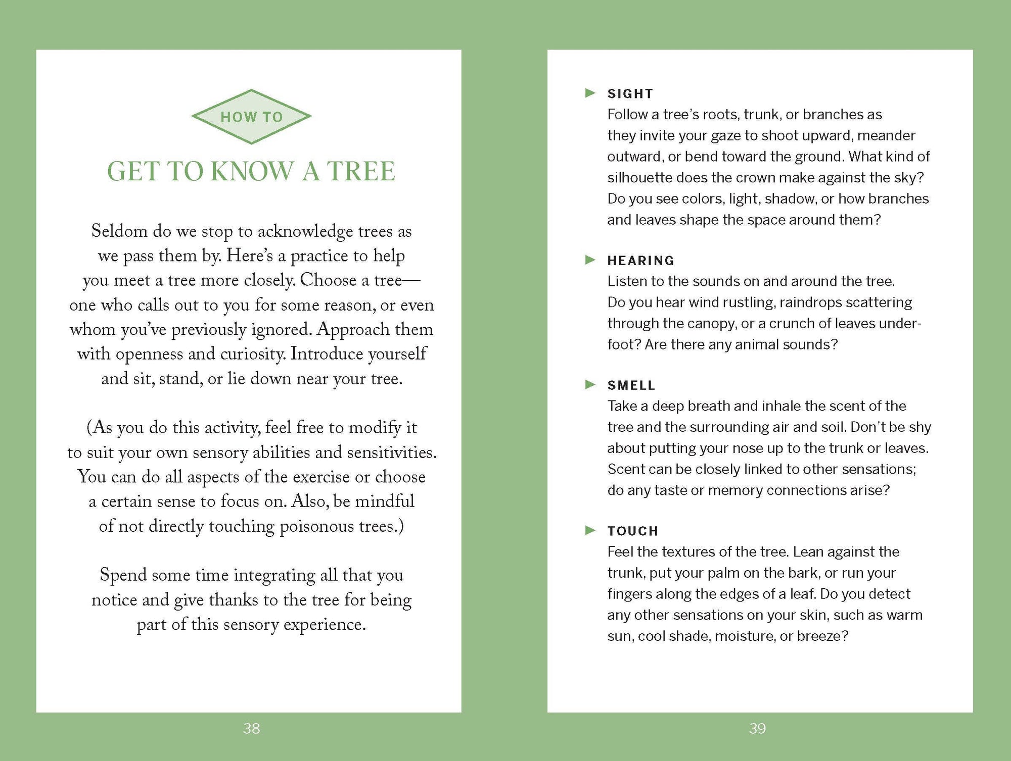 Book | Pocket Nature: Tree Hugging