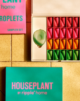 Incense Cones & Holder | Houseplant by Ripple Home