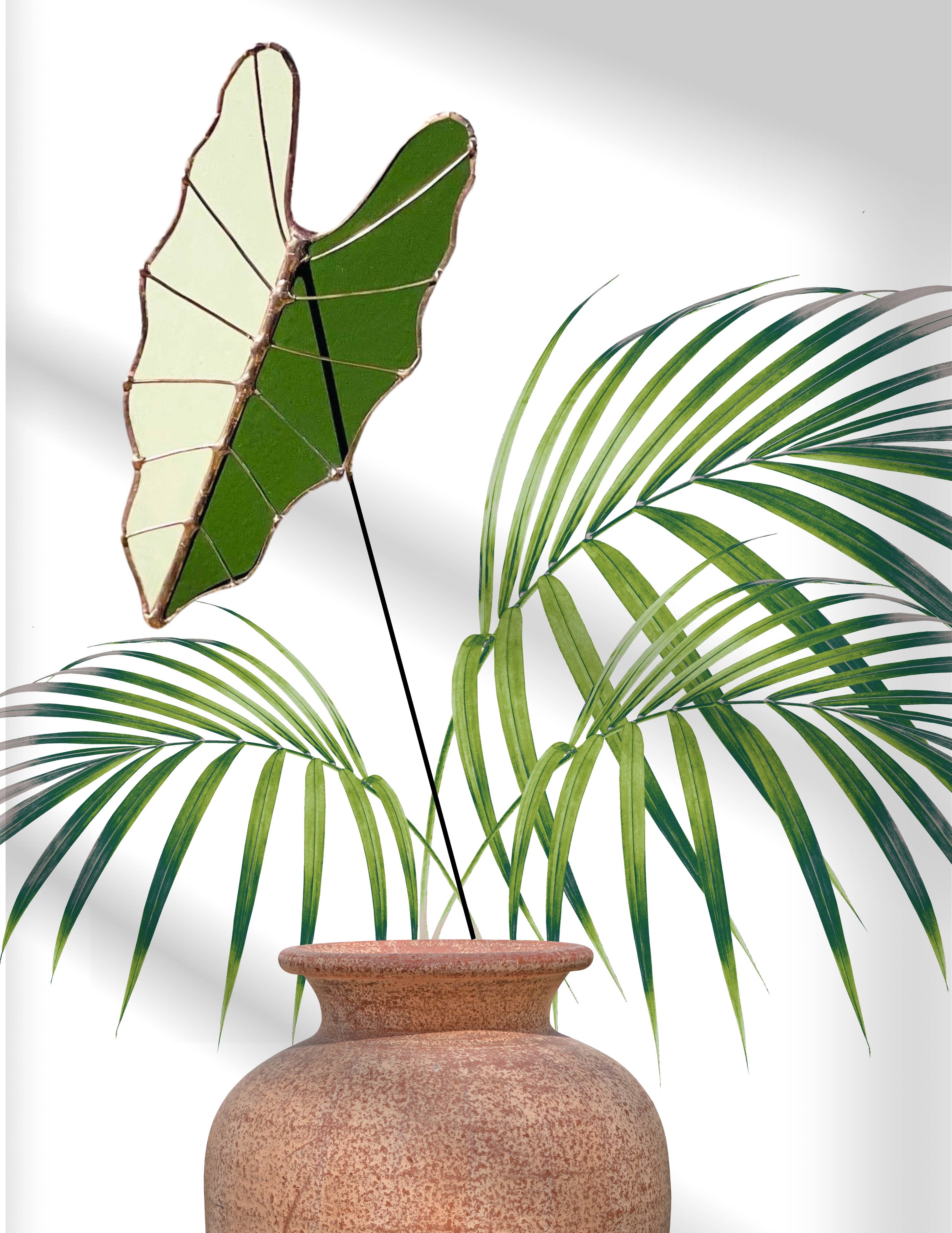Stained Glass | Tropical Green Large Alocasia Leaf