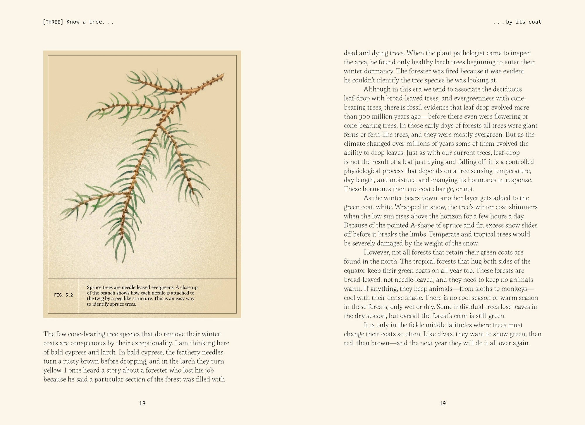 Book | Forty Ways to Know a Tree