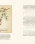 Book | Forty Ways to Know a Tree