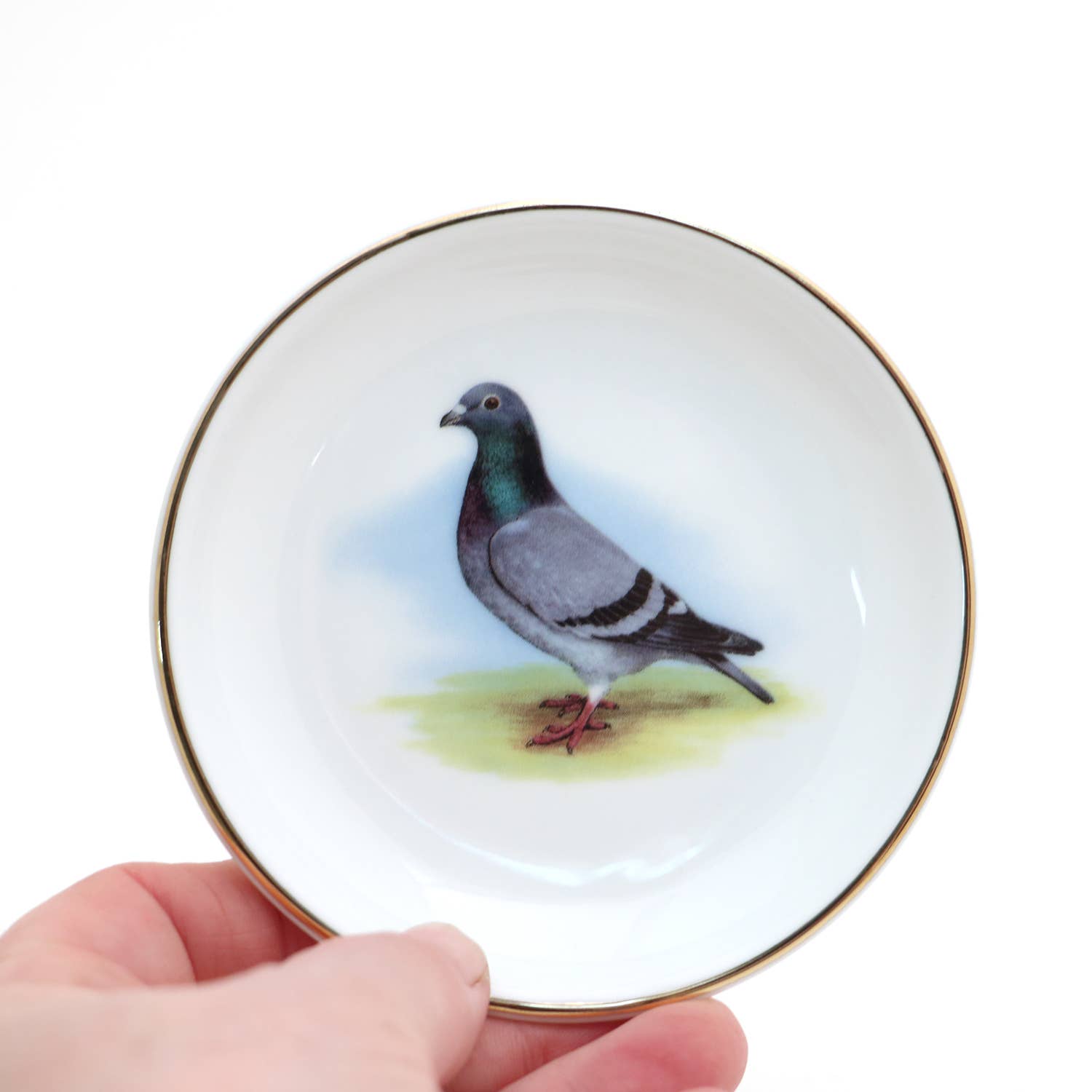 Ring Dish | Pigeon