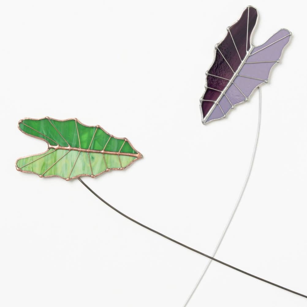 Stained Glass | Tropical Green Large Alocasia Leaf