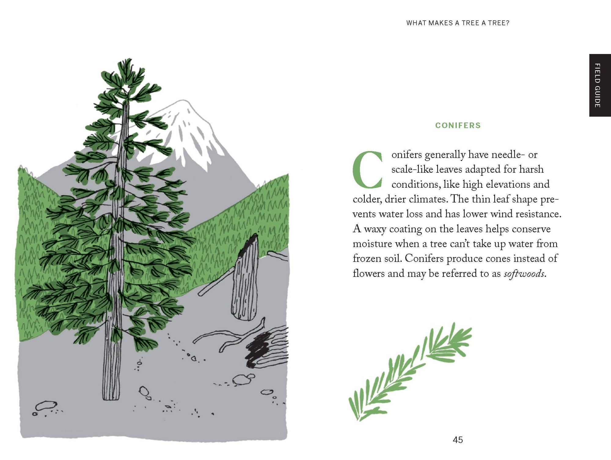 Book | Pocket Nature: Tree Hugging