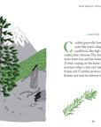 Book | Pocket Nature: Tree Hugging