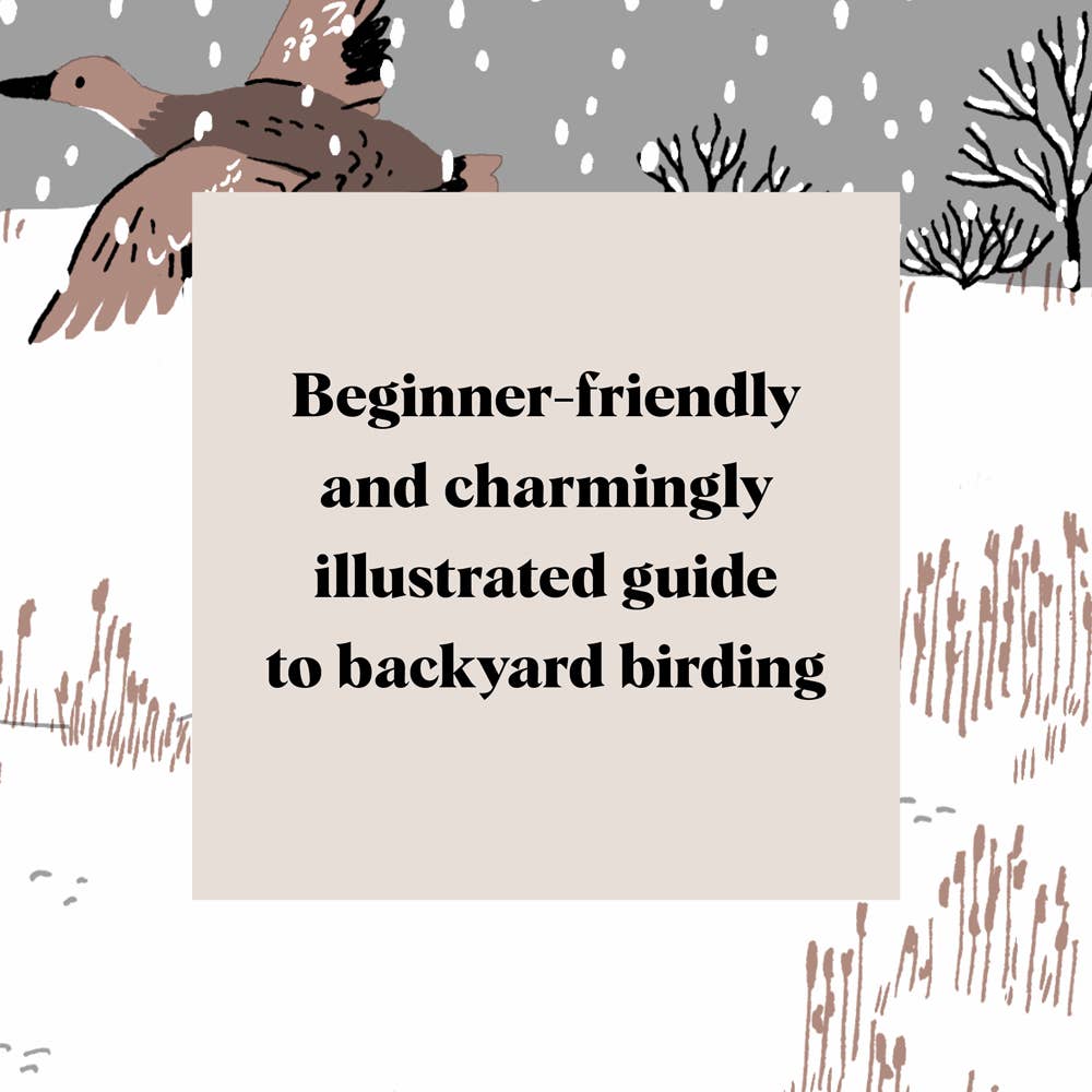 Book | Pocket Nature: Bird-Watching