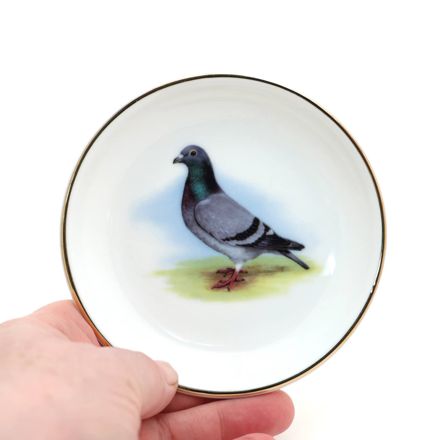 Ring Dish | Pigeon