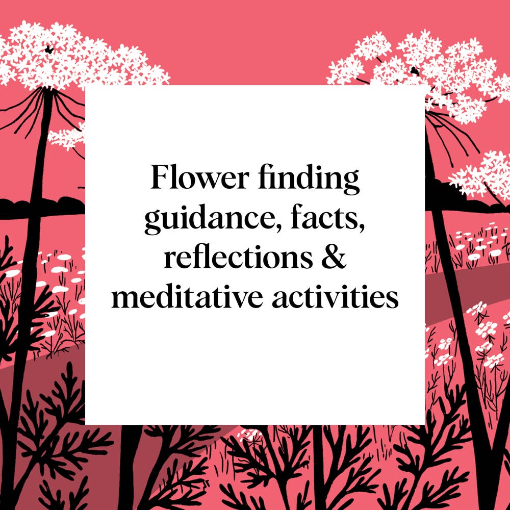 Book | Pocket Nature: Flower Finding