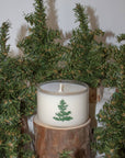 Coconut Soy Candle | Balsam Fir