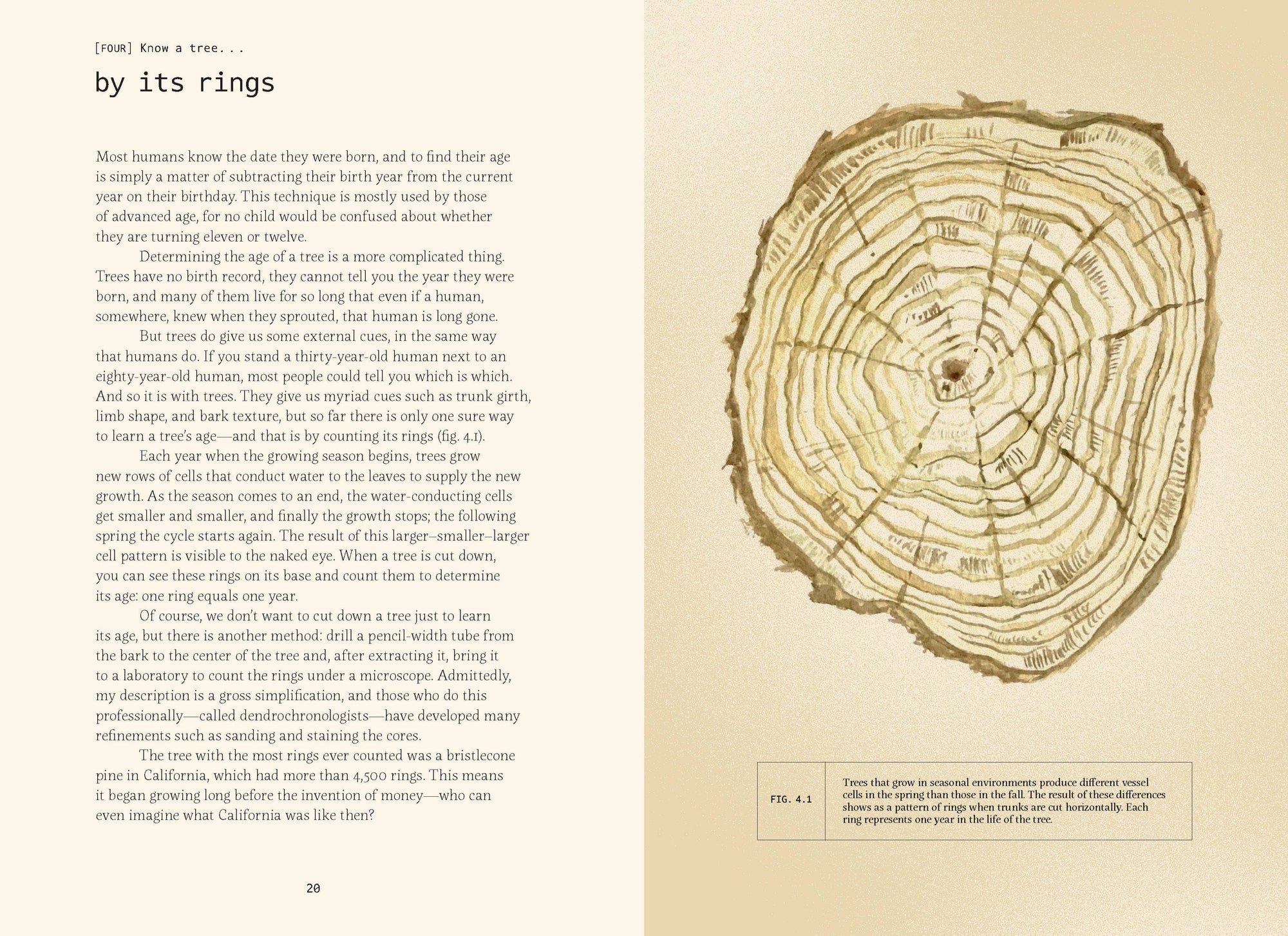 Book | Forty Ways to Know a Tree