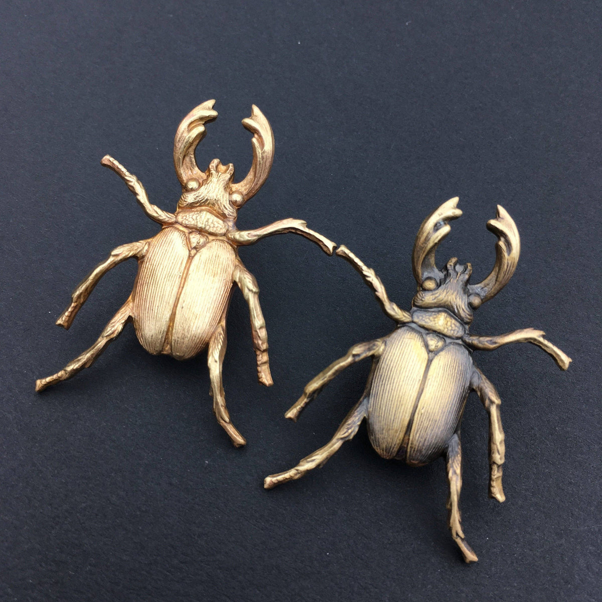 Insect Pin | Brass Stag Beetle