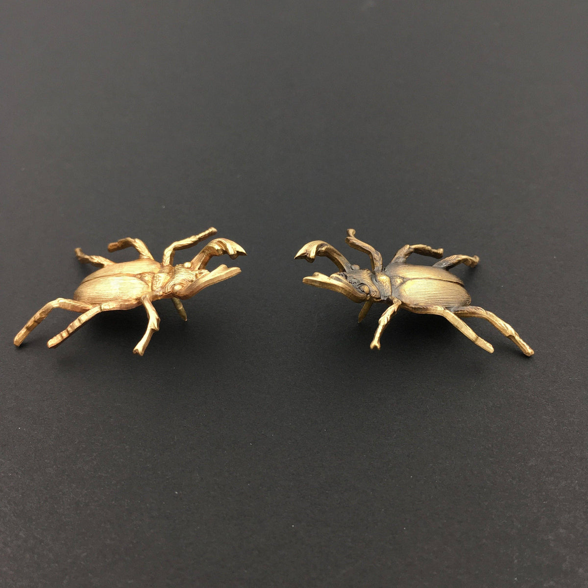 Insect Pin | Brass Stag Beetle