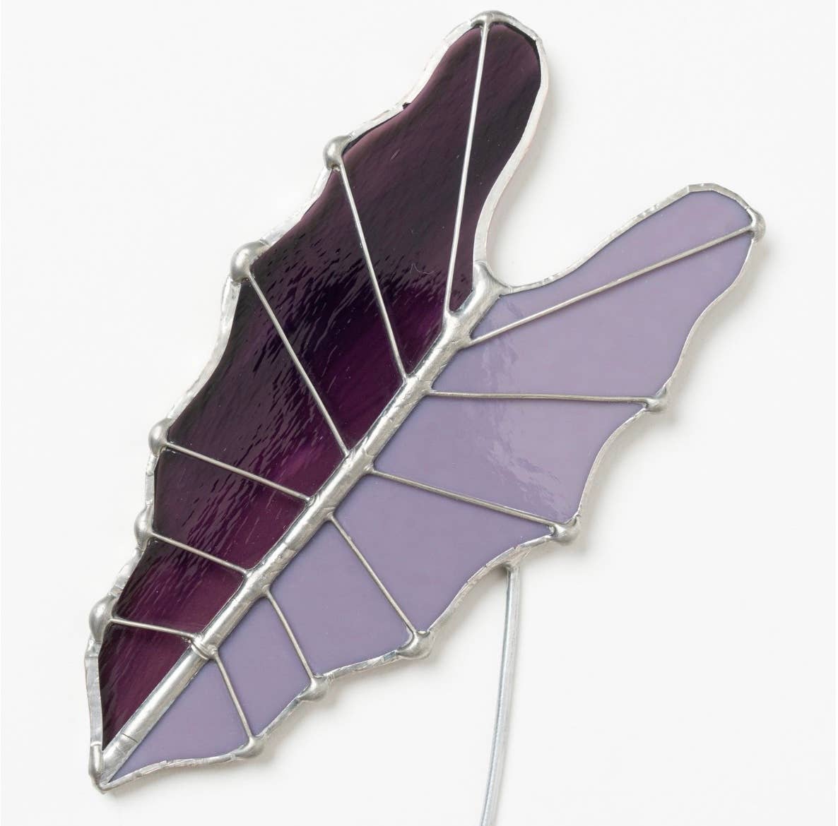 Stained Glass | Tropical Green Large Alocasia Leaf