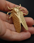 Insect Pin | Brass Cicada