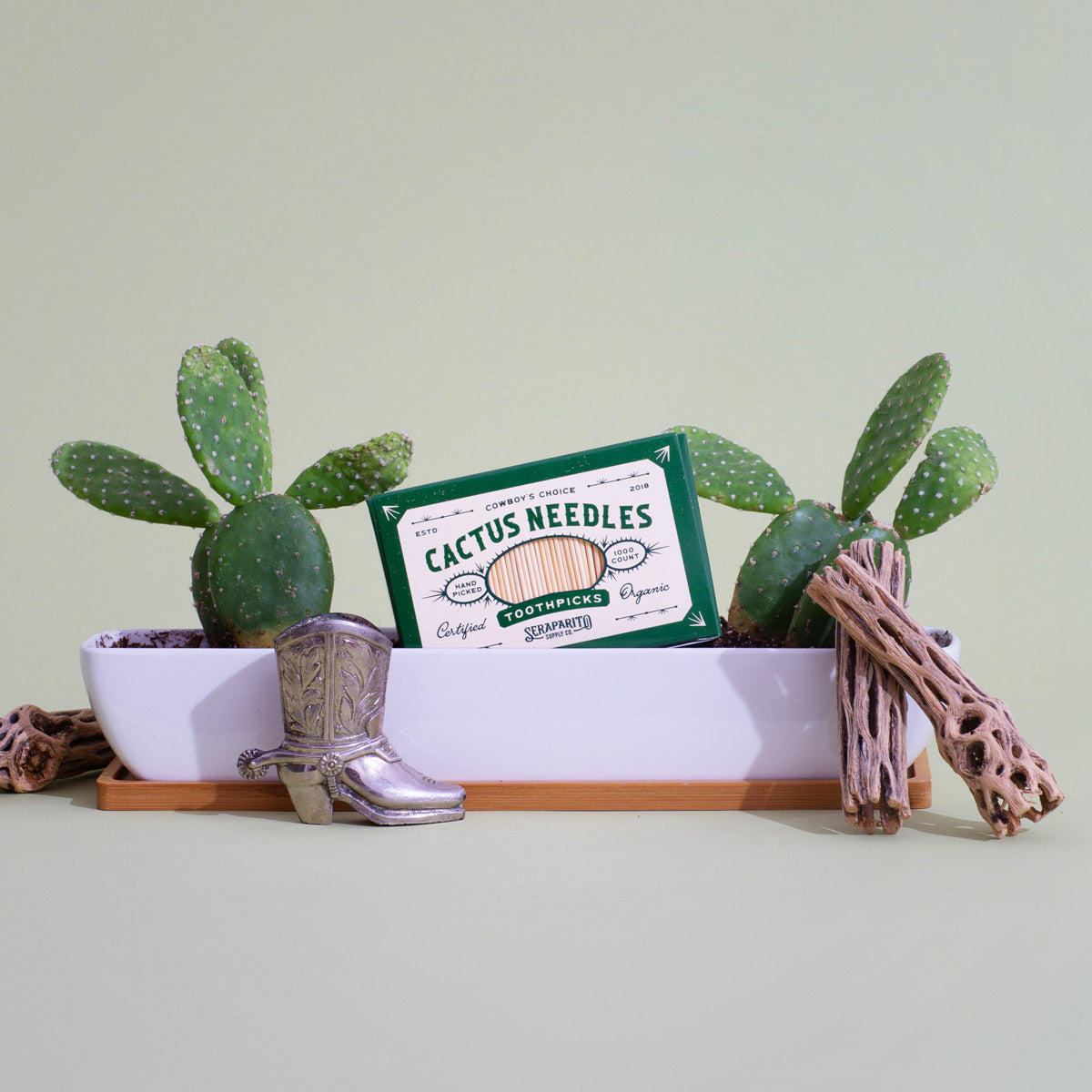 Cactus needles packaging with cacti and decorative elements on a light green background