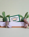 Cactus needles packaging with cacti and decorative elements on a light green background