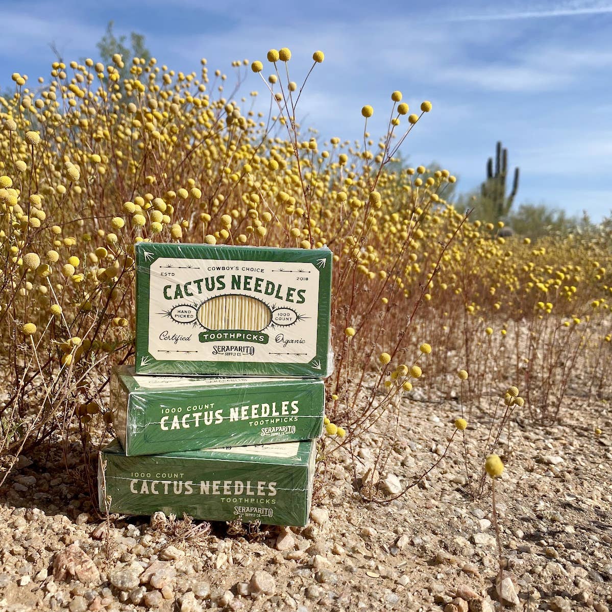 Cactus Needles toothpicks are a fun Southwest souvenir or party pick. Made from eco-friendly and durable bamboo, they’re perfect for appetizers and baking.