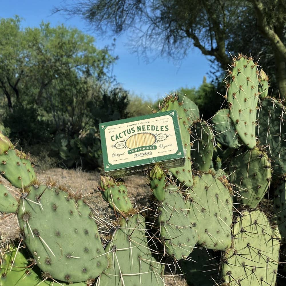 Cactus Needles toothpicks are a fun Southwest souvenir or party pick. Made from eco-friendly and durable bamboo, they’re perfect for appetizers and baking.