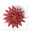 Ceramic Flower Wall Art | Blush Pink Strawflower