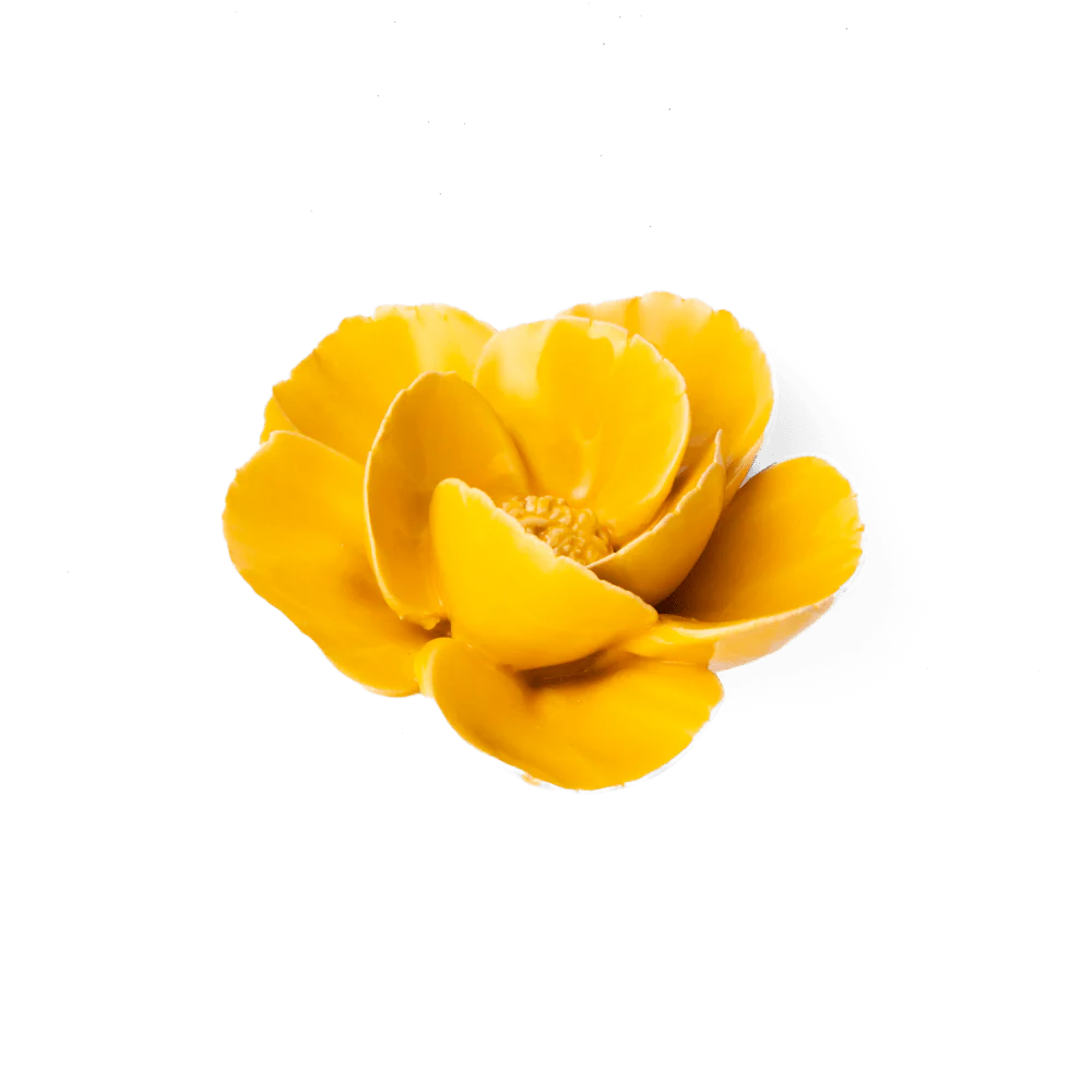 Bring everlasting blooms into your space with ceramic flowers—beautiful, handmade pieces that add a touch of nature-inspired charm without the upkeep. Each flower comes packaged in a lovely gift box and features a keyhole back, so you can display it on a wall or style it on a tabletop. Perfect for creating a blooming statement that never fades.