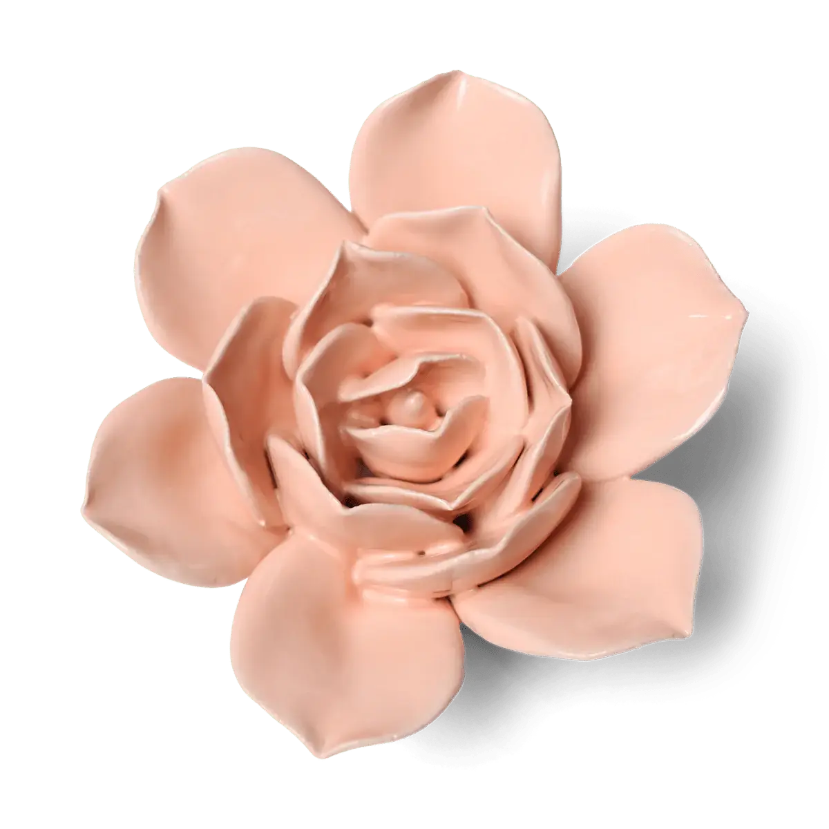 Bring everlasting blooms into your space with ceramic flowers—beautiful, handmade pieces that add a touch of nature-inspired charm without the upkeep. Each flower comes packaged in a lovely gift box and features a keyhole back, so you can display it on a wall or style it on a tabletop. Perfect for creating a blooming statement that never fades.