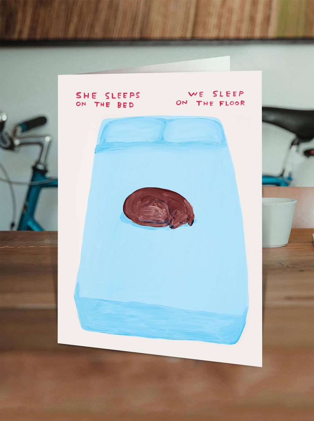 Celebrate the true boss of the house with the Sleep On The Bed Greeting Card, featuring the hilarious artwork of David Shrigley. Perfect for dog lovers, birthdays, or just a little everyday humor, this card is blank inside so you can add your own message—or let the art do the talking.