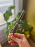 Hand holding a bundle of white sage incense sticks near a window with a houseplant