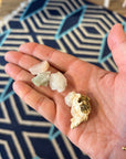 Crystal | Gemstone Specimens