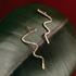 Pair of bronze Lucille squiggle earrings on a dark green leaf against a red background