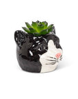 This adorable Small Black Cat Head Planter is the perfect complement to any cat lover's favorite cactus, succulent or flowers. Crafted out of ceramic, the cartoon-like shape of this cat head planter is sure to add a touch of fun and whimsy anywhere.