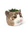 This adorable Small Tabby Cat Head Planter is the perfect complement to any cat lover's favorite cactus, succulent or flowers. Crafted out of ceramic, the cartoon-like shape of this cat head planter is sure to add a touch of fun and whimsy anywhere.