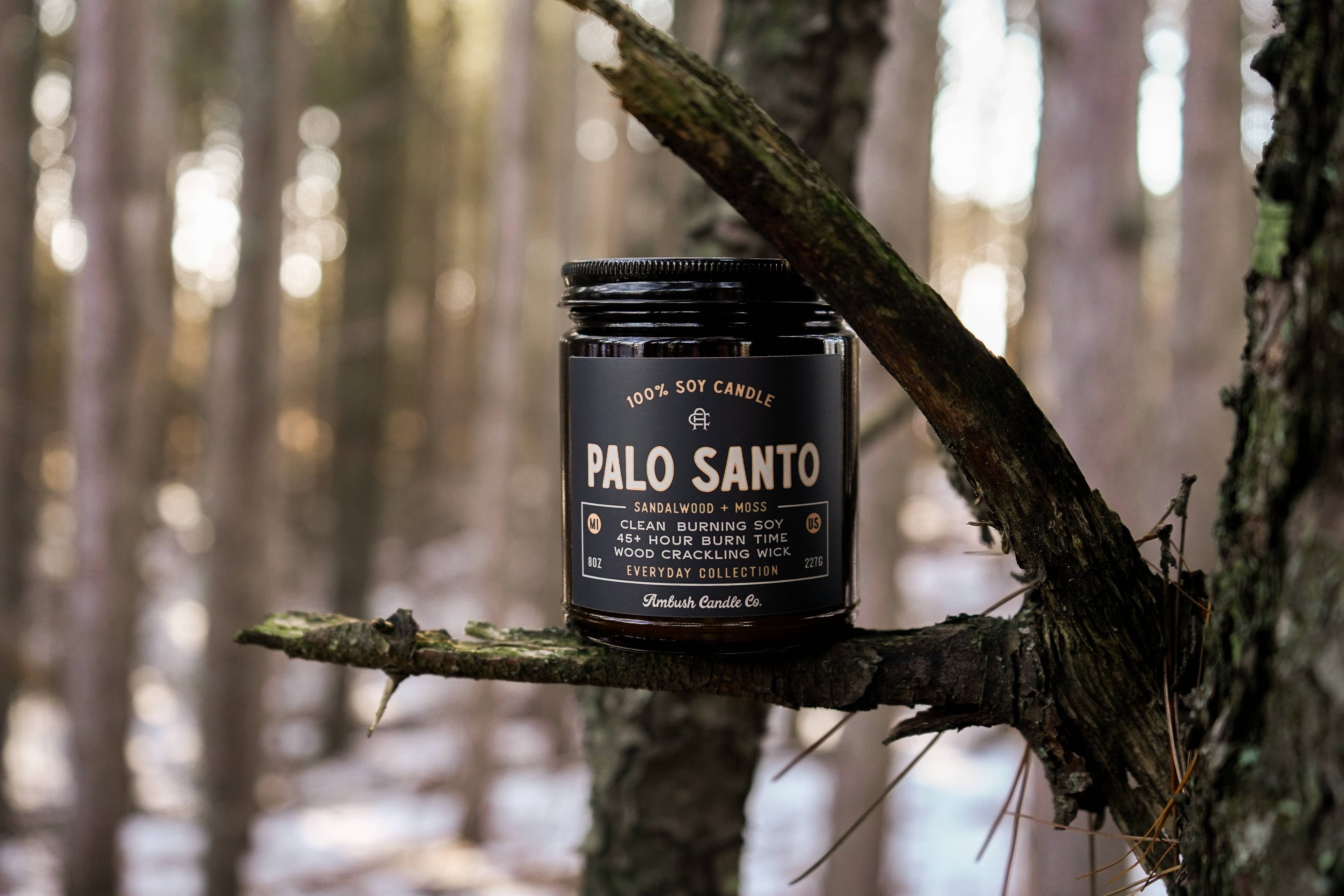 Earthy with a hint of spice, this balanced scent is made to ground you. With warm notes of sandalwood and moss, Palo Santo brings a calming, woodsy feel to your space—like stepping into a quiet forest. Scent Profile: Sandalwood | Moss