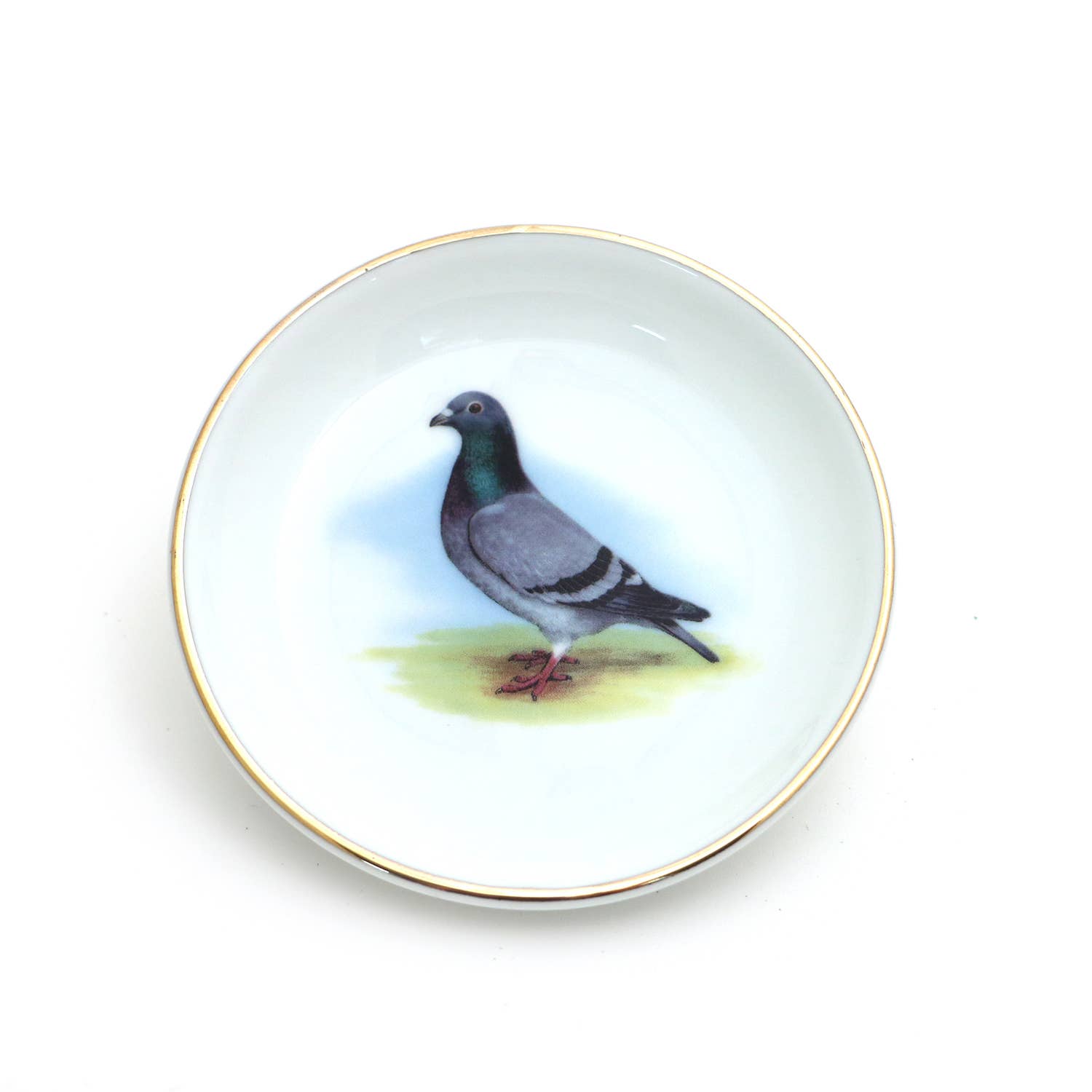 Ring Dish | Pigeon