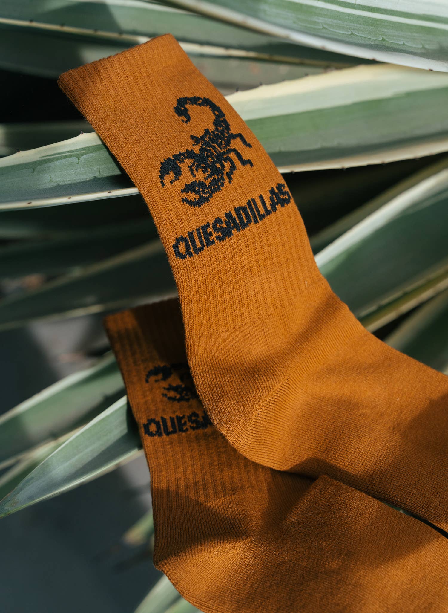 Socks | Quesadillas Scorpion