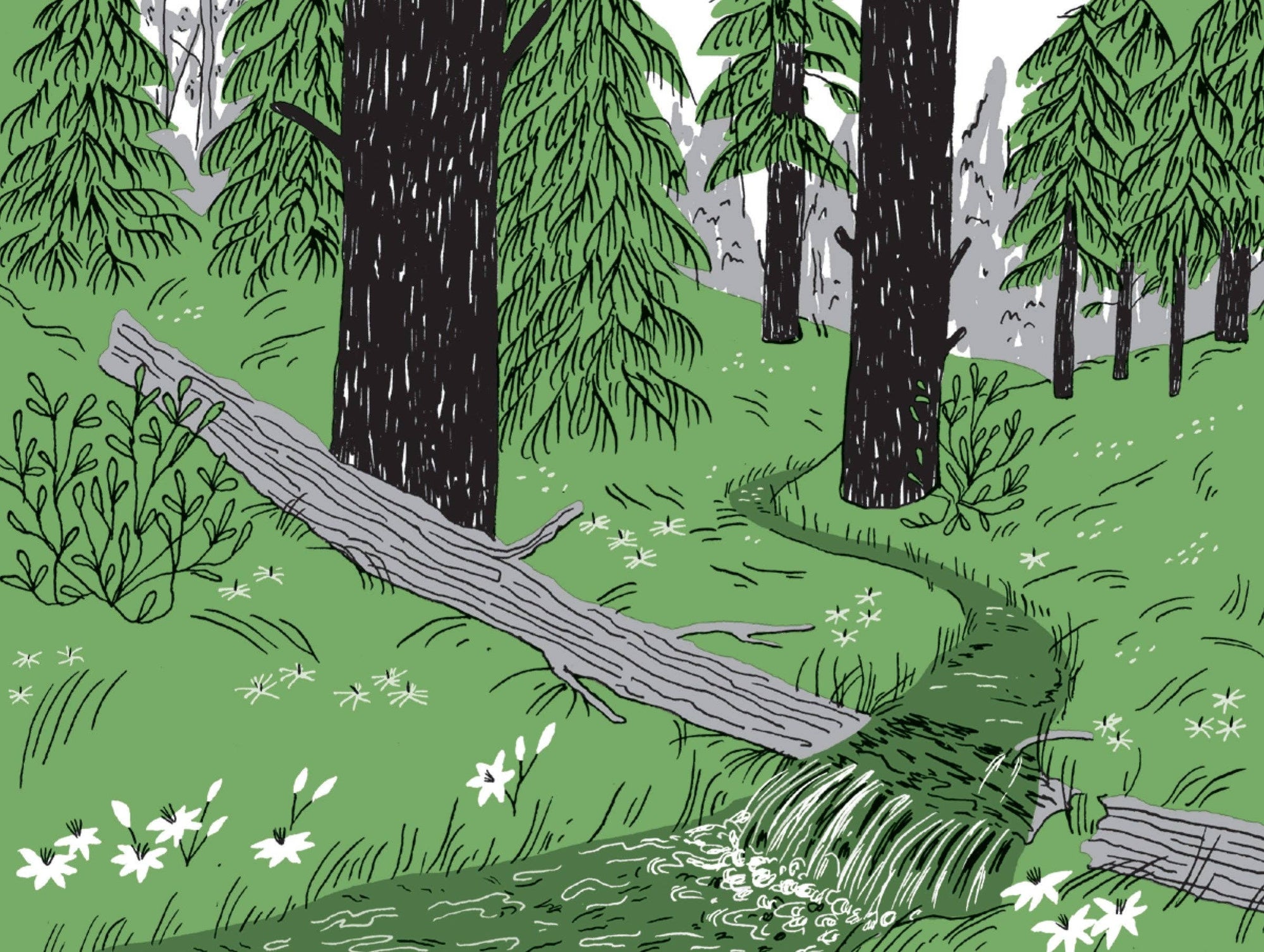 Book | Pocket Nature: Tree Hugging