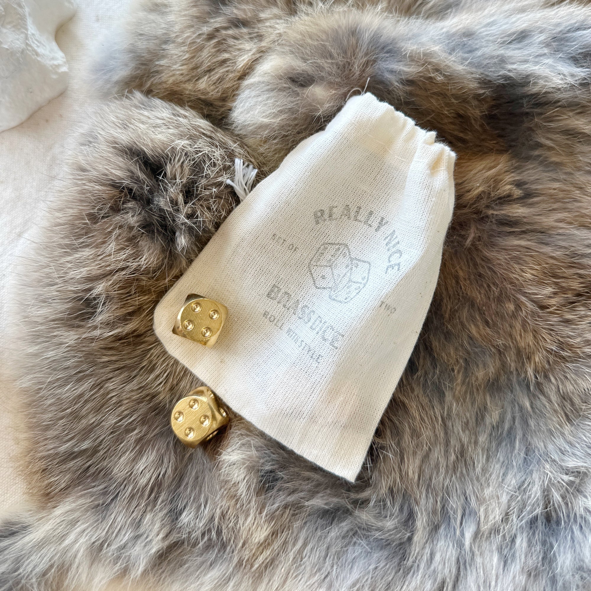 Really Nice Brass Dice | Set of 2