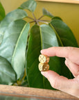 Really Nice Brass Dice | Set of 2