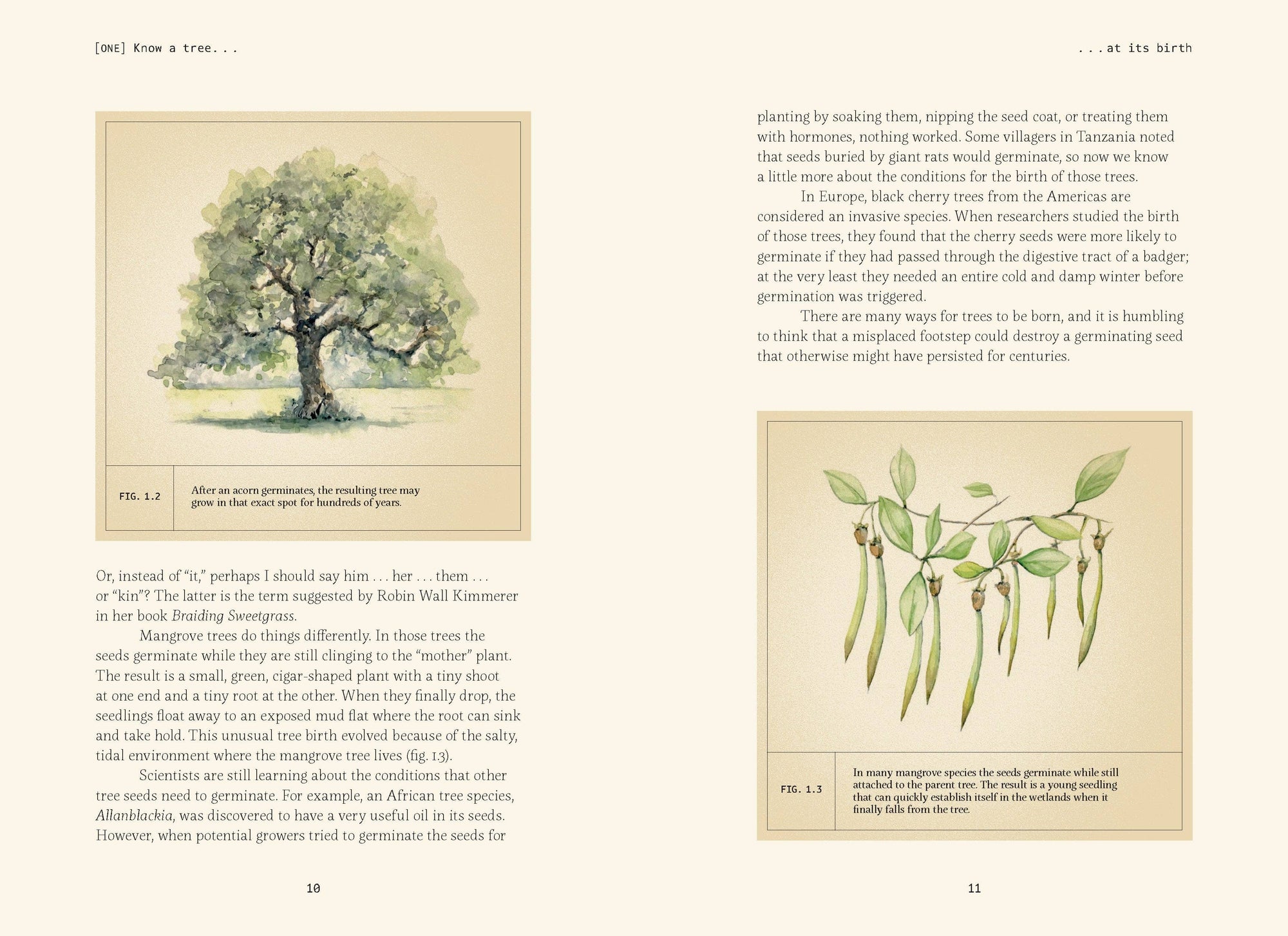 Book | Forty Ways to Know a Tree